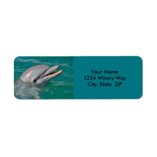 Dolphin Sluiten Etiket