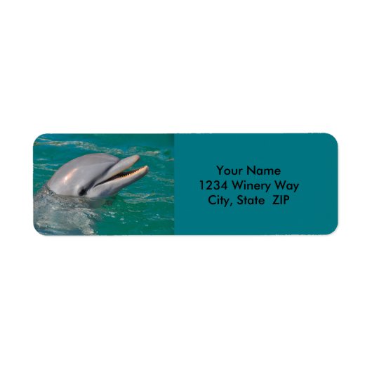 Dolphin Sluiten Etiket (Voorkant)