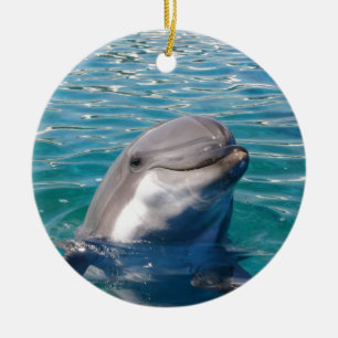 Dolphin Smile, personaliseer je als gewenst Keramisch Ornament