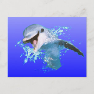 Dolphin Smiling Briefkaart