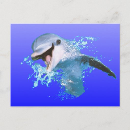 Dolphin Smiling Briefkaart (Voorkant)