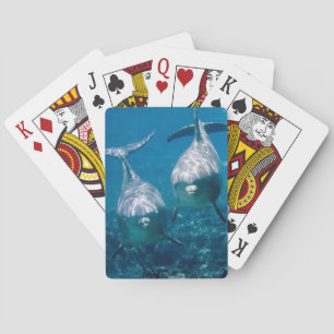 Dolphin-speelkaarten Pokerkaarten