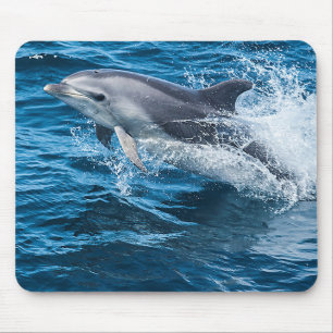 Dolphin Splashing Muismat