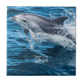 Dolphin Splashing Tegeltje (Voorkant)