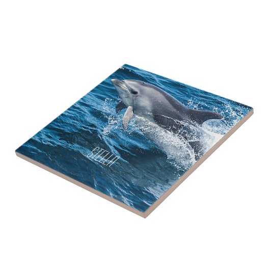Dolphin Splashing Tegeltje (Zijkant)
