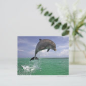 Dolphin-springen Briefkaart (Staand voorkant)