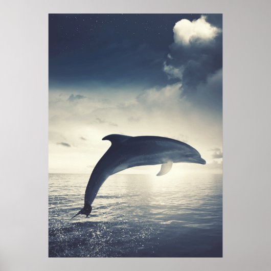 Dolphin springt uit de waterkunst poster (Voorkant)