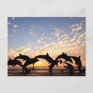Dolphin springt van het water bij zonsondergang briefkaart