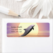 Dolphin Sun Etiket (Insitu)