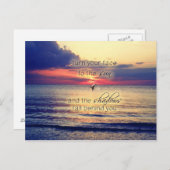 Dolphin Sunset Briefkaart (Voorkant / Achterkant)