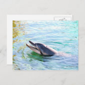 Dolphin Swimming Briefkaart (Voorkant / Achterkant)