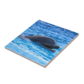 Dolphin Tegeltje (Zijkant)