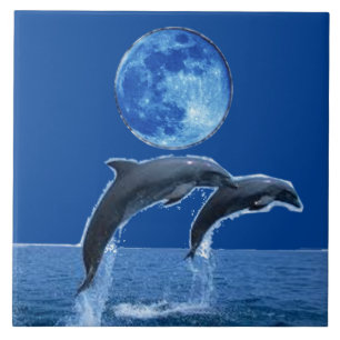 Dolphin Tiles Tegeltje