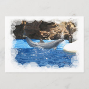 Dolphin Tricks Invitation Kaart