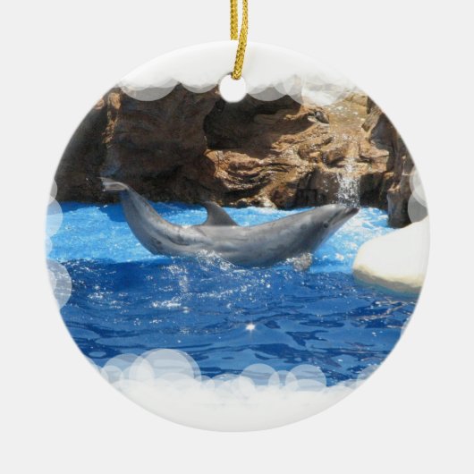 Dolphin Tricks Ornament (Voorkant)