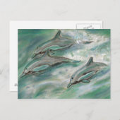 Dolphin Trio - carte postale (Devant / Derrière)