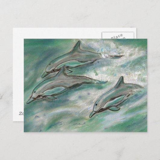 Dolphin Trio - carte postale (Devant / Derrière)