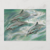 Dolphin Trio - carte postale (Devant)