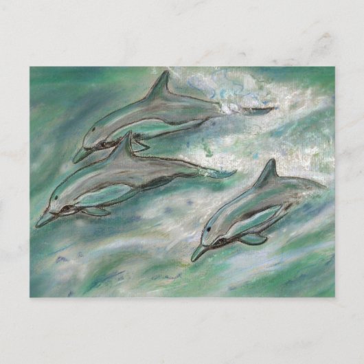 Dolphin Trio - carte postale (Devant)
