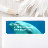 Dolphin Underwater Etiket (Insitu)