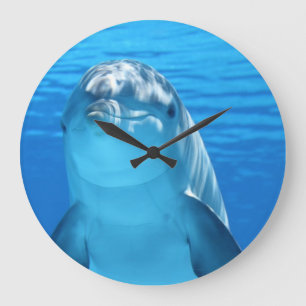 Dolphin, vlak boven grote klok