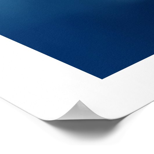 DOLPHIN WORLD PRINT (Hoek)