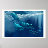 DOLPHIN WORLD PRINT (Voorkant)