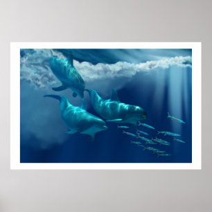 DOLPHIN WORLD PRINT