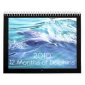 Dolphins 2010-agenda kalender (Hoes)