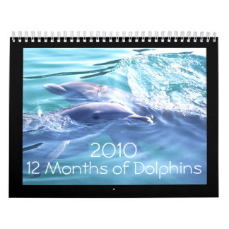 Dolphins 2010-agenda kalender
