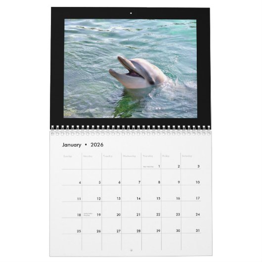 Dolphins 2010-agenda kalender (Jan 2026)