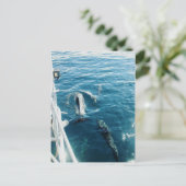 Dolphins Bowriding Briefkaart (Staand voorkant)