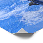 Dolphins jumping out of water poster (Hoek)