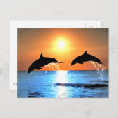 Dolphins Leaping Briefkaart (Voorkant / Achterkant)