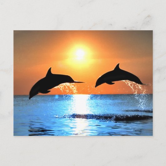 Dolphins Leaping Briefkaart (Voorkant)