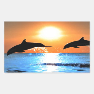 Dolphins Leaping Rechthoekige Sticker