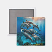 Dolphins Magnet Magneet (Voorkant / Achterkant)