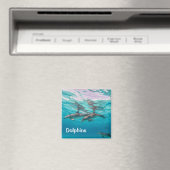 Dolphins Magnet Magneet (Insitu (Vaatwasser))