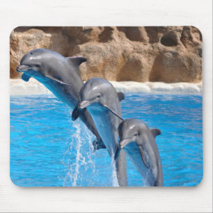 Dolphins mousepad muismat
