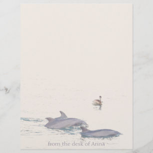 Dolphins Pelican Personalized Letterhead