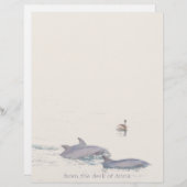 Dolphins Pelican Personalized Letterhead (Voorkant / Achterkant)