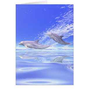 Dolphins Racing