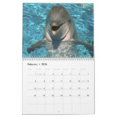 Dolphins Wall Agenda Kalender (Feb 2026)