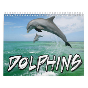 Dolphins Wall Agenda Kalender