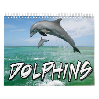 Dolphins Wall Agenda Kalender