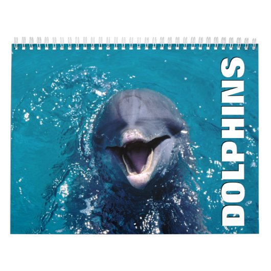 Dolphins Wall Agenda Kalender (Hoes)