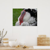 Domesticate Turkey Poster (Keuken)
