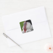 Domesticate Turkey Vierkante Sticker (Envelop)