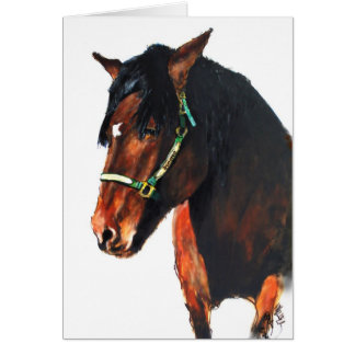 Domingo van Marin County