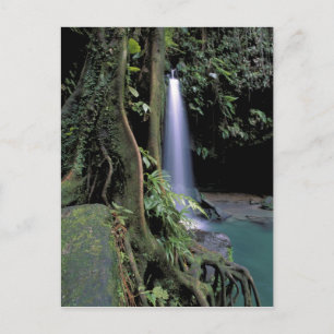 Dominica, Emerald Pool, Waterfall. Briefkaart